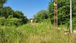 20250611_093626.jpg