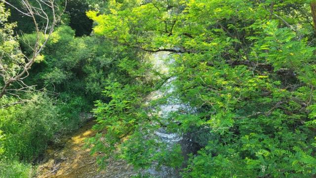 20250611_093751.jpg