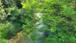 20250611_093751.jpg