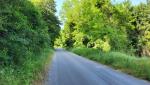 20250611_094753.jpg