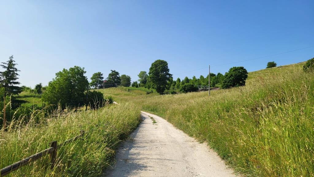 20250613_090635.jpg