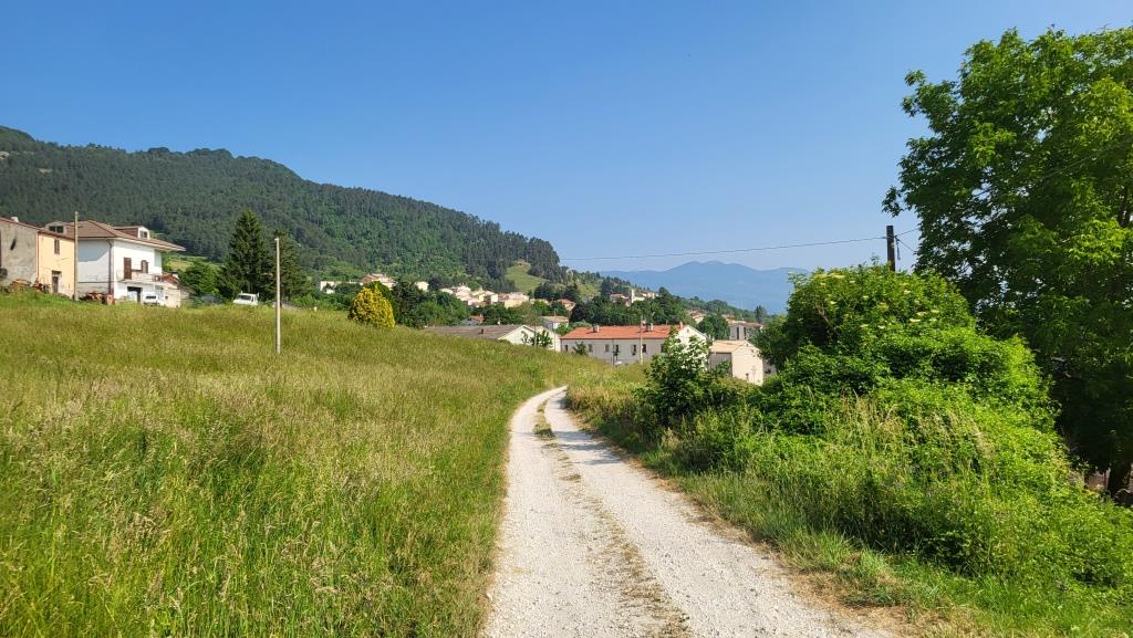 20250613_090906.jpg
