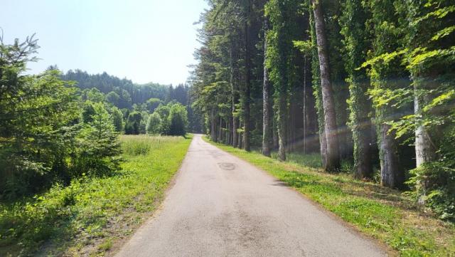 20250613_100536.jpg