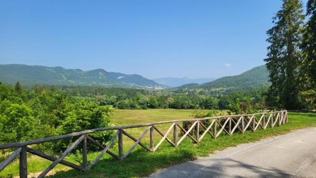 20250613_100919.jpg