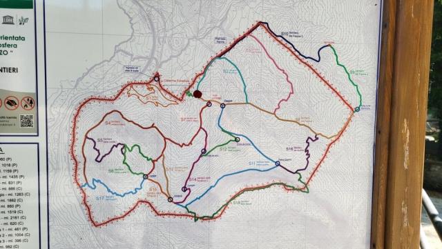 20250613_101423.jpg