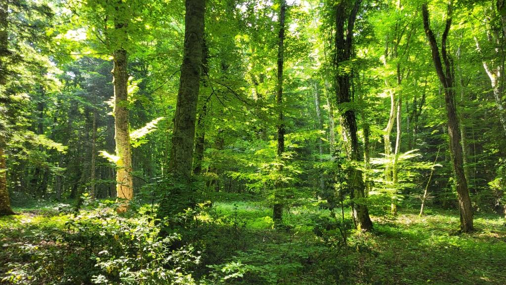 20250613_103732.jpg