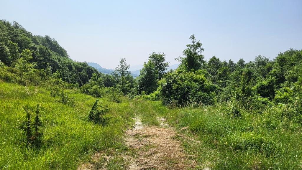 20250613_105131.jpg