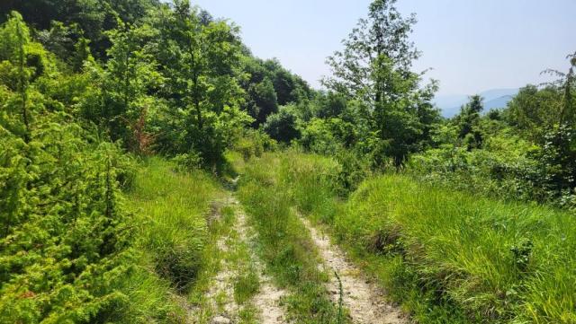 20250613_105851.jpg