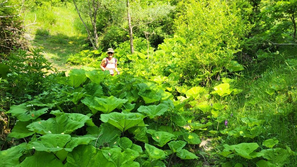 20250613_111321.jpg