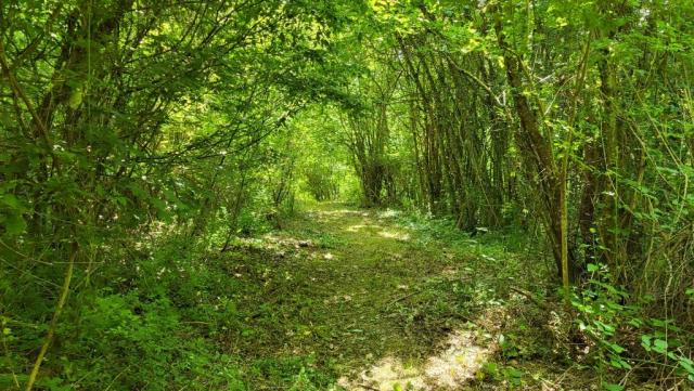20250613_112636.jpg