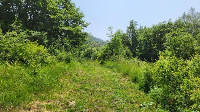 20250613_114400.jpg