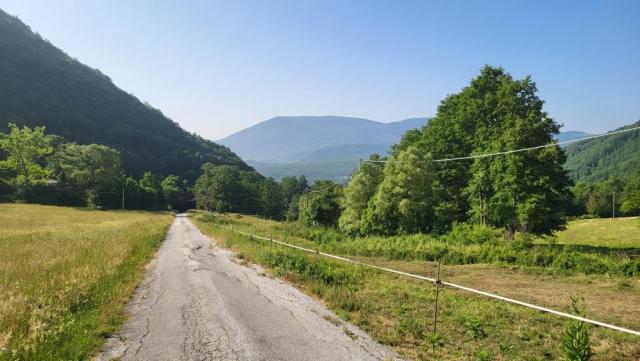 20250614_083830.jpg