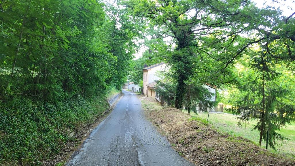 20250614_084220.jpg