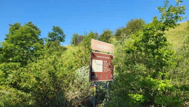 20250614_091723.jpg