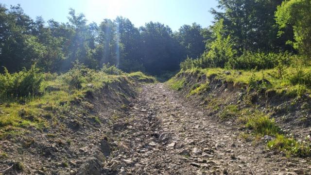 20250614_092203.jpg