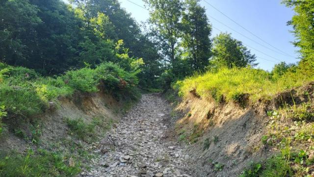 20250614_092315.jpg