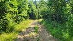 20250614_092754.jpg