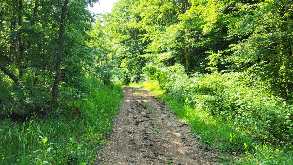 20250614_094020.jpg