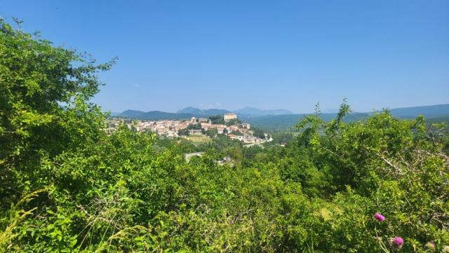20250614_112308.jpg
