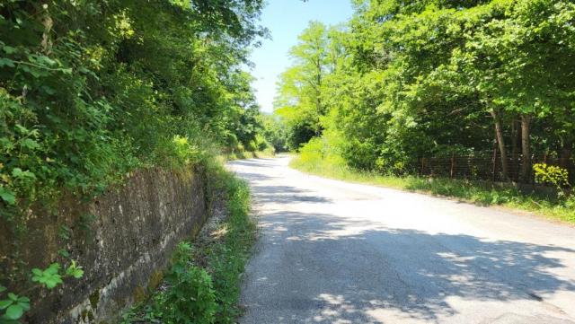 20250614_122754.jpg