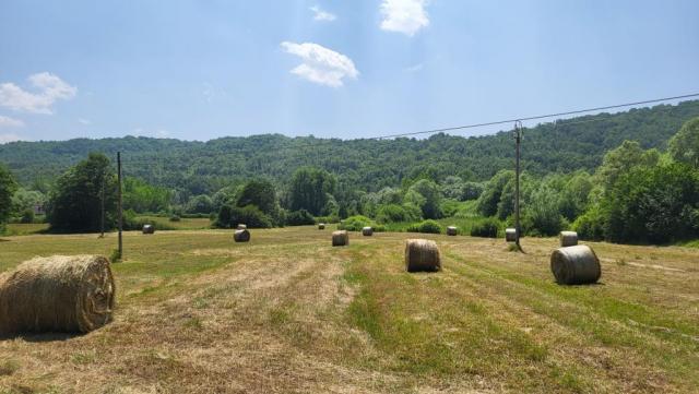 20250614_143306.jpg