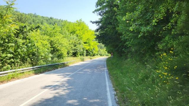 20250614_145732.jpg