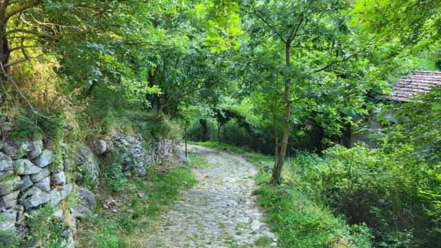 20250615_075154.jpg