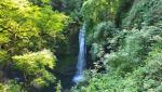 20250615_080555.jpg