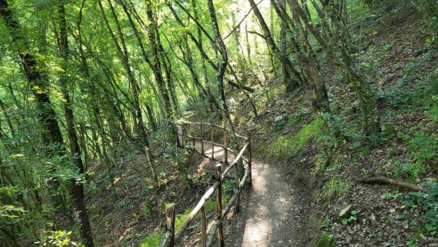 20250615_080757.jpg