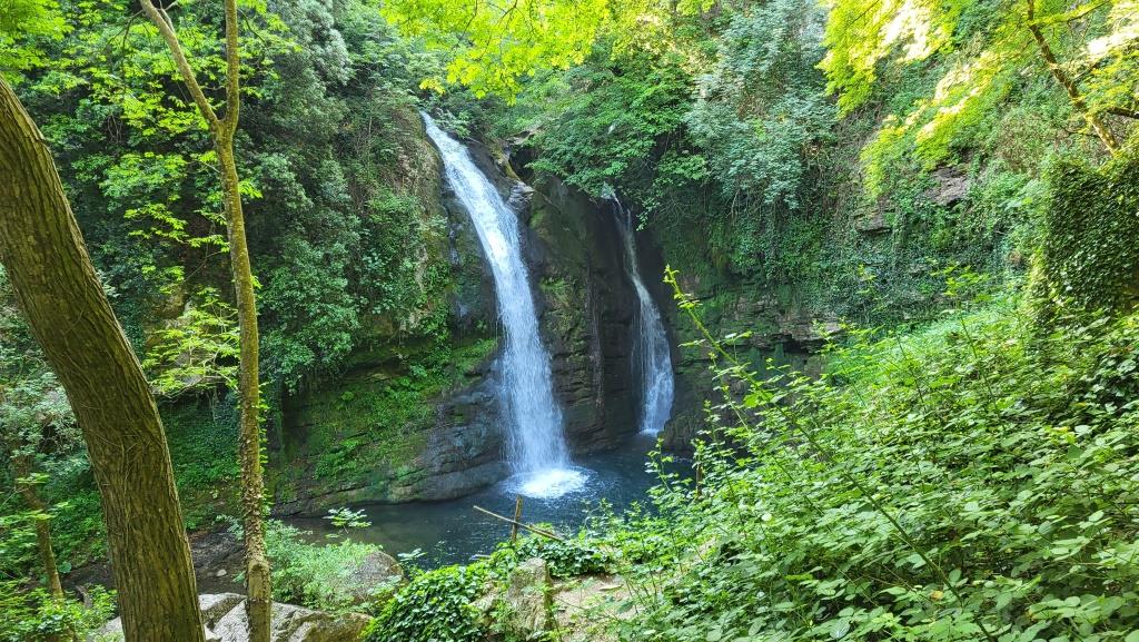 20250615_080926.jpg