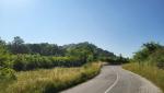 20250615_084440.jpg