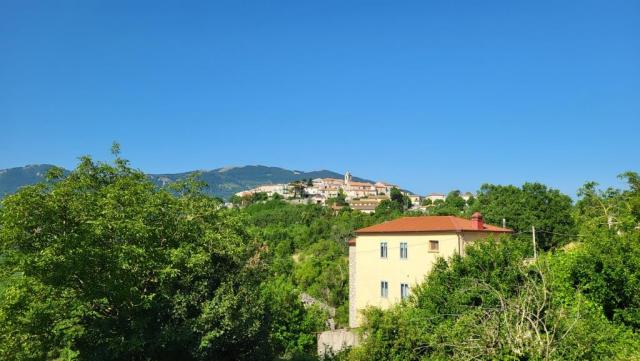 20250615_085609.jpg