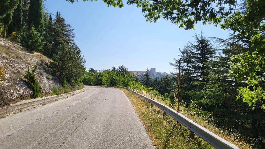 20250615_091651.jpg