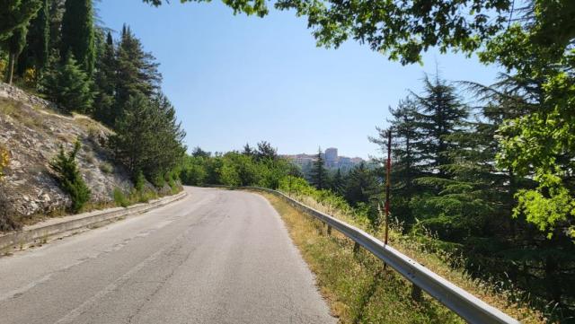 20250615_091651.jpg