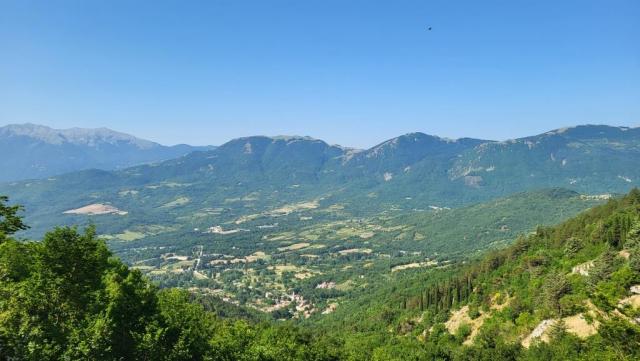 20250615_093106.jpg