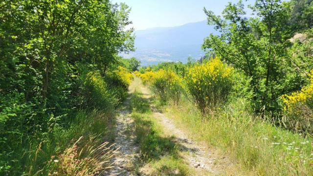 20250615_102735.jpg