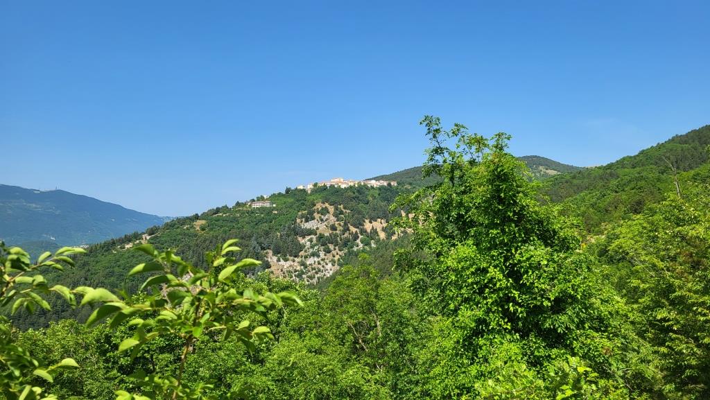 20250615_104554.jpg