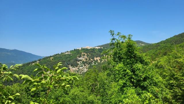 20250615_104554.jpg