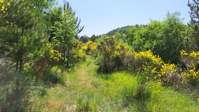 20250615_105522.jpg