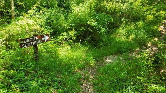 20250615_111451.jpg