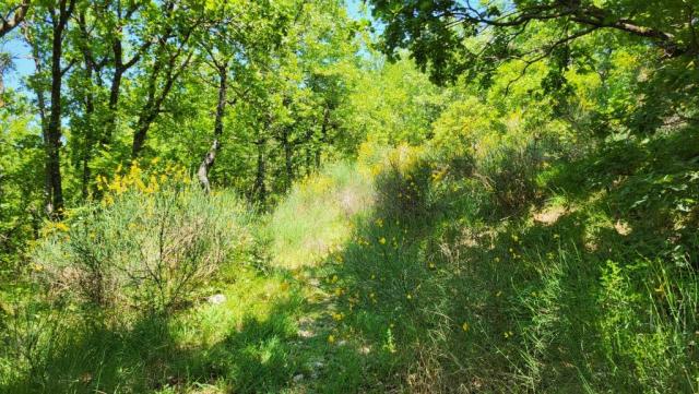 20250615_112154.jpg