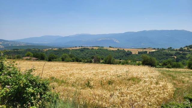 20250615_132329.jpg