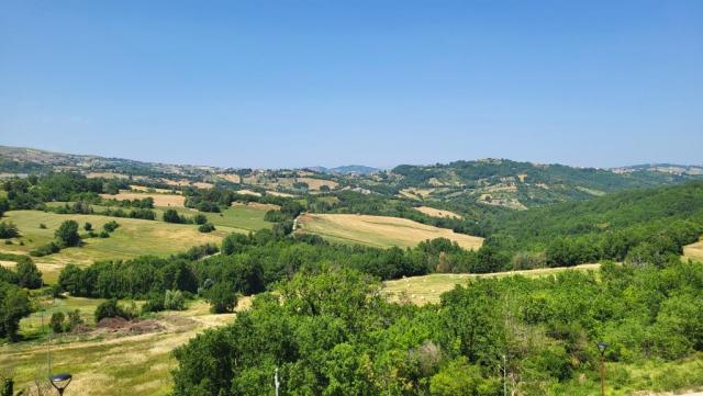 20250615_142840.jpg