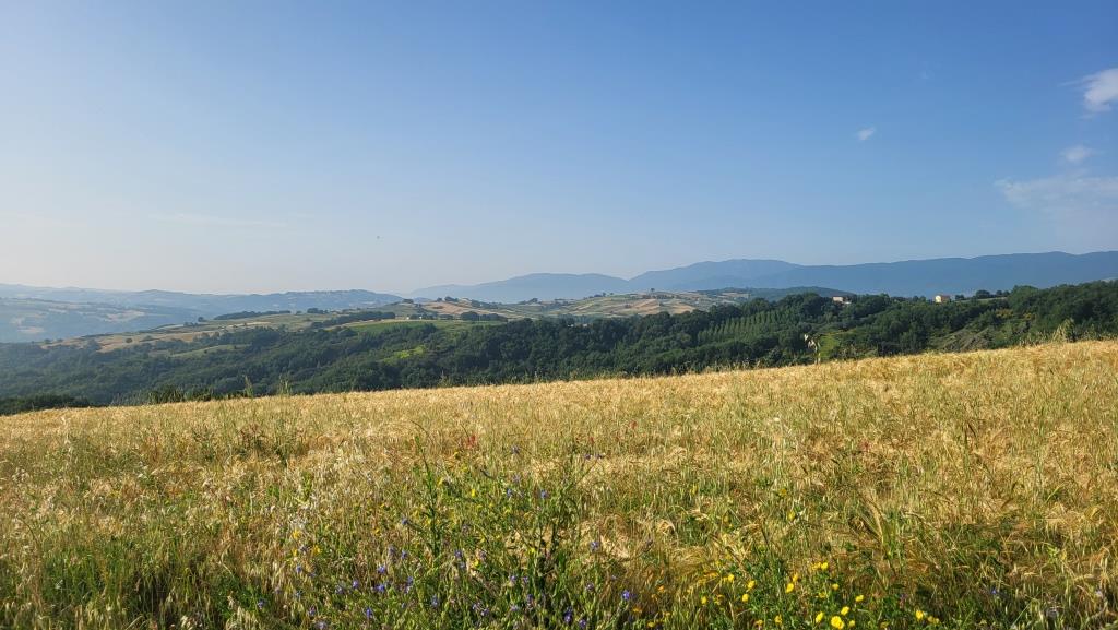 20250616_080617.jpg