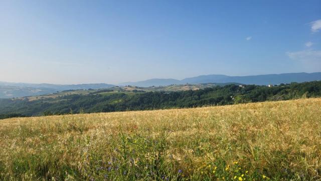 20250616_080617.jpg