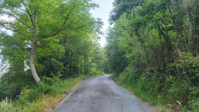 20250616_081454.jpg