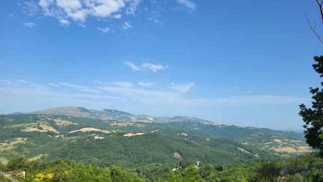 20250616_083010.jpg