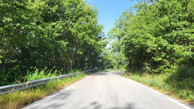 20250616_083410.jpg