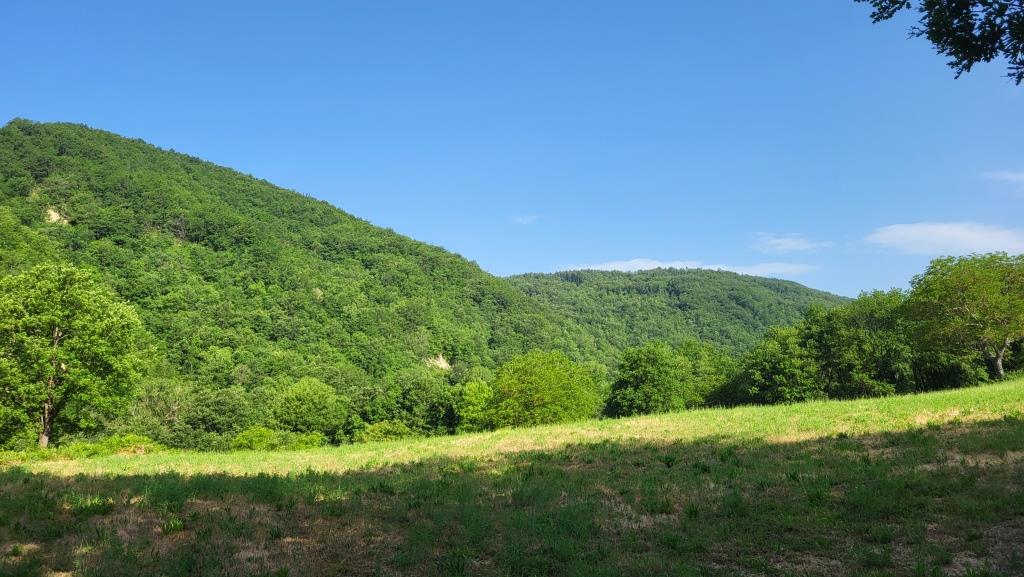 20250616_084552.jpg