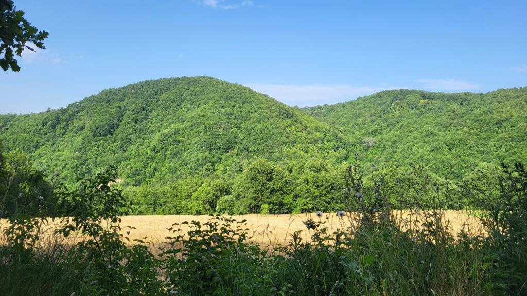 20250616_085012.jpg